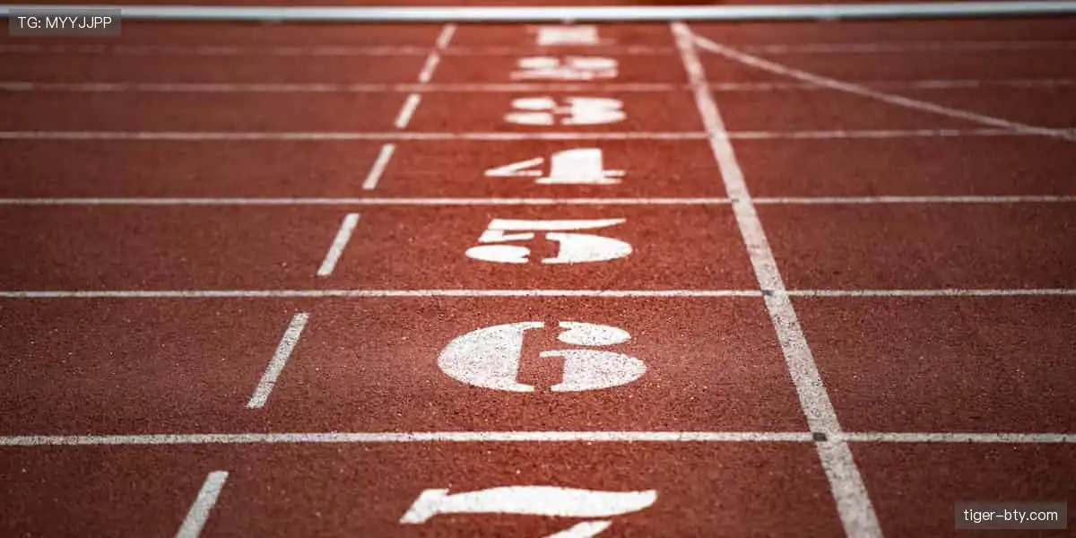 🏆 从看台到赛场,你的每一步都是传奇!🏃♂️